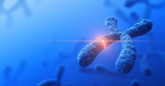 Epigenetics Hair Follicle Analysis